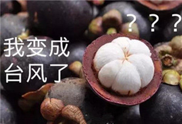 “山竹”還未走遠(yuǎn)，但貝朗全自動彎線機(jī)已正常上班啦！