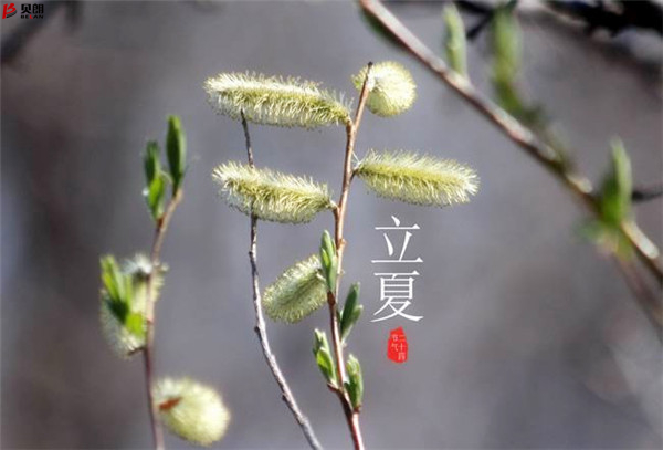 二十四節(jié)氣立夏，那些您不知道的習(xí)俗