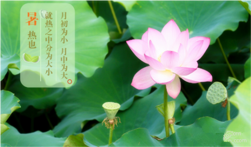 暑臻三伏醉難熬，拭汗揮巾似雨飄——鐵絲成型機