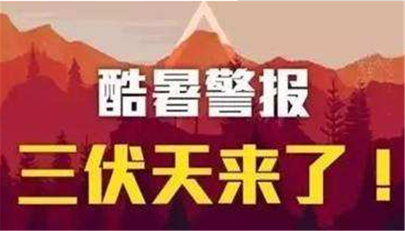 三伏已入，愿您安然度夏——貝朗高 效數(shù)控折彎?rùn)C(jī)械