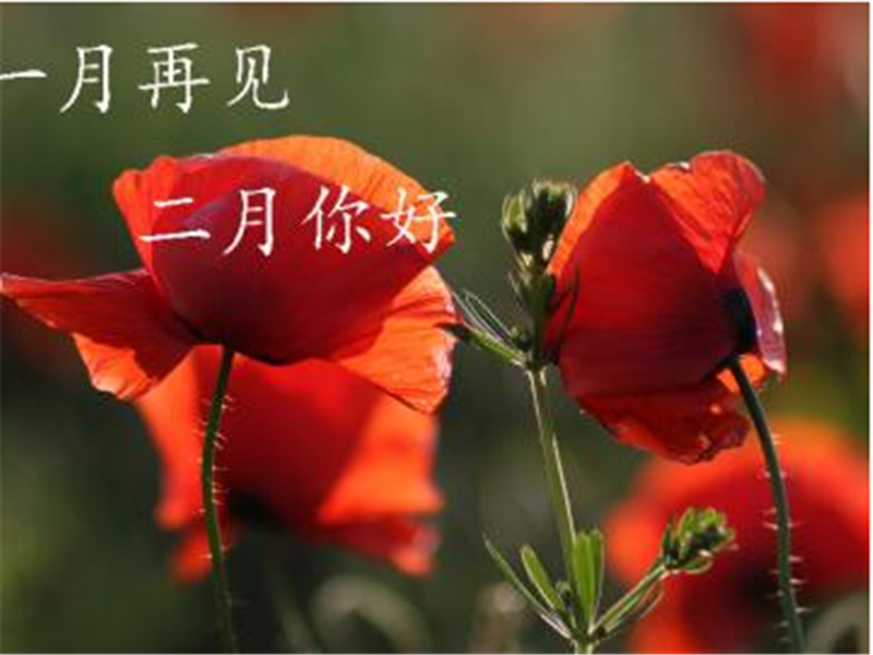 一月再見，美好的二月你好啊