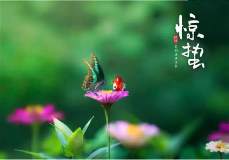 二十四節(jié)氣“驚蜇”都有哪些習(xí)俗？