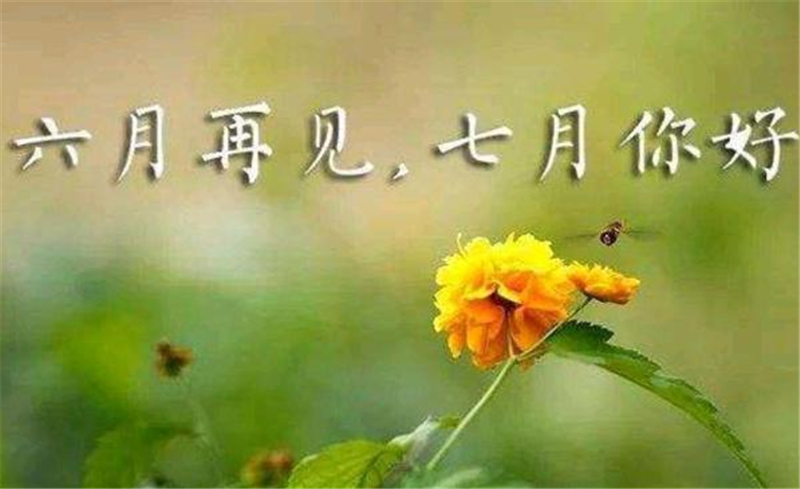 六月再見、7月你好